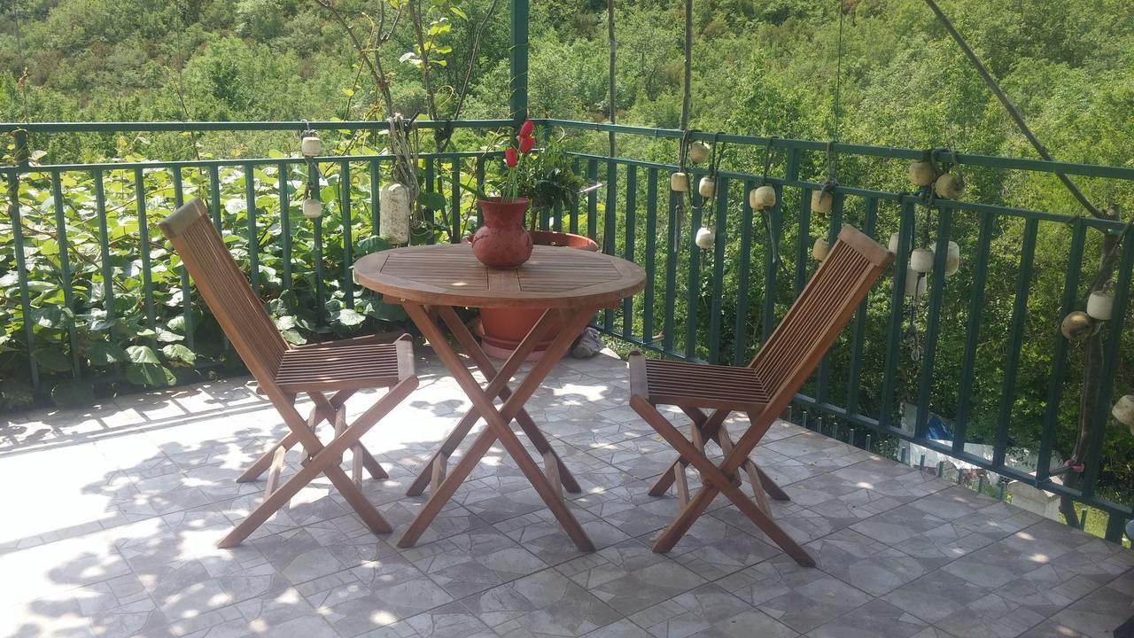 Danijela Apartmani Čanj Zewnętrze zdjęcie